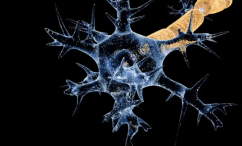 Guillain-Barré Syndrome Maharashtra